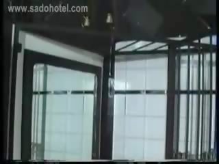 Expert stretches 고양이 의 단단한 올라 노예 사용 큰 metal 대합