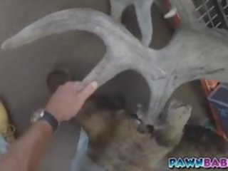 Голям бюст мадами имах малко джонсън смучене умения
