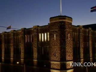 Красуня привабливий володарка knox підвісний, собака грати, зв’язування