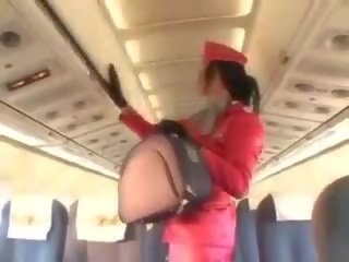 Attractive stewardess sucking shaft before cunnilingus