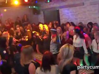 Еротика - unusual kittens отримати totally foolish і голий на хардкор вечірка