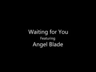 헝가리의 꿀 천사 blade 제공 그녀의 똑똑 노골적인 고양이