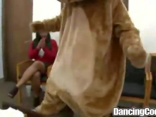 Dancingcock група дзьоб suking
