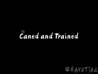 鞭打 和 trained