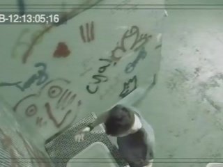 멕시코 양진이 풋내기 딸 빨기 에이 큰 샤프트 에 화장실