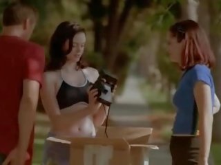Троянда mcgowan devil в в плоть