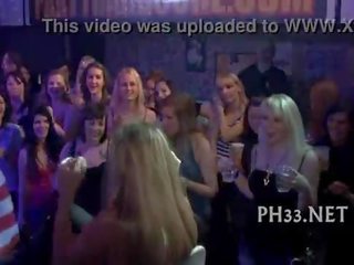 Waiters 빌어 먹을 암캐