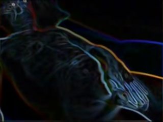 Мій xart - cumpilation 2