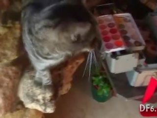 Peter задоволений по a незаймана