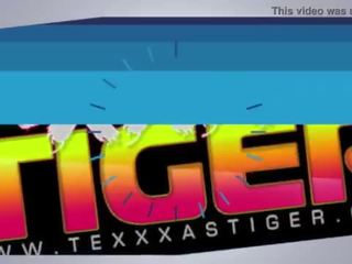 Nelli tigers মধ্যরাত্রি 3 way-trailer