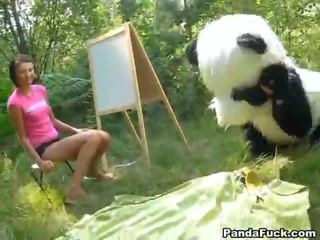 Xxx 在 該 樹林 幾乎 一 巨大 玩具 panda